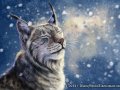 winter_heart_by_blackmystica-d5rdq36.jpg